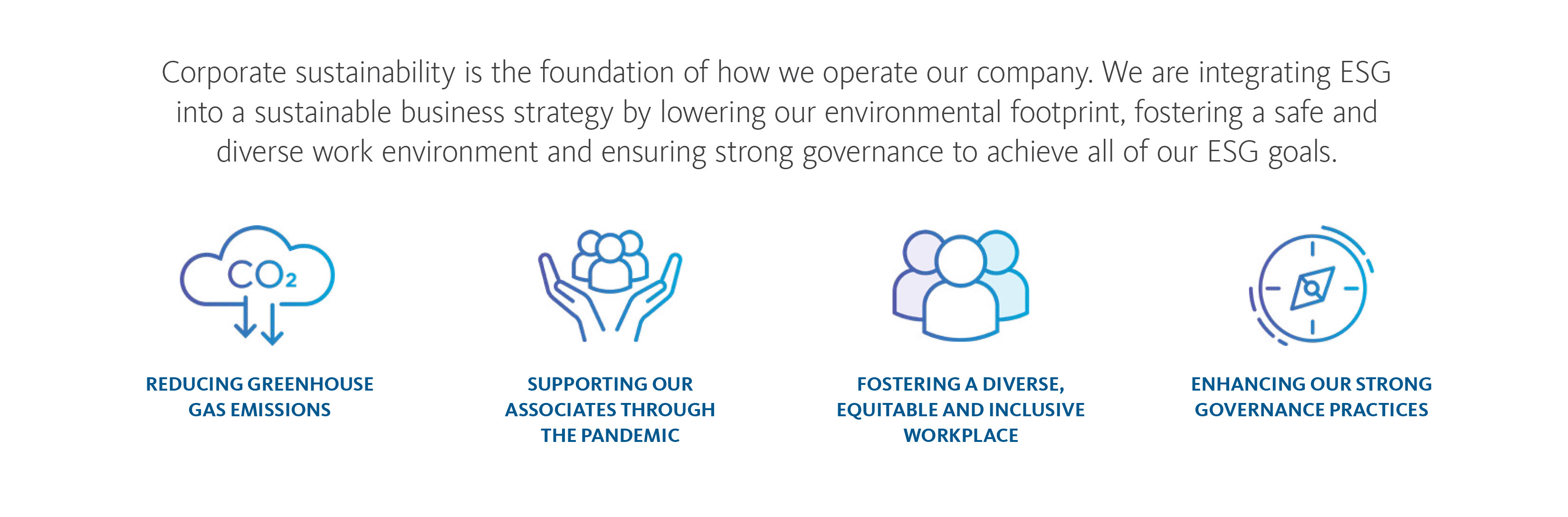 Sustainability Infographic Section1